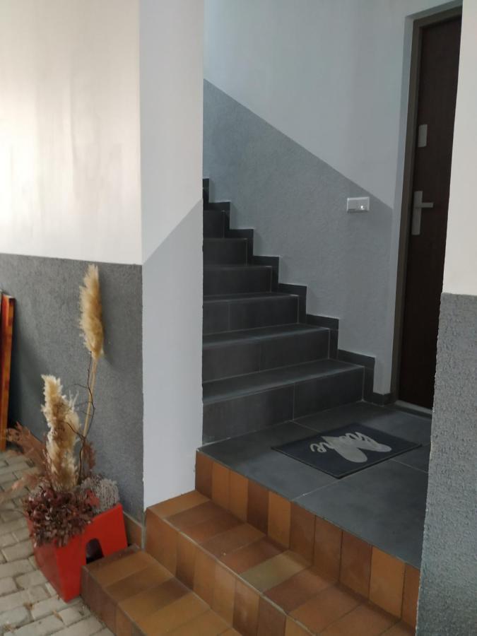 Mehrfamilien Haus Lägenhet Schkeuditz Exteriör bild
